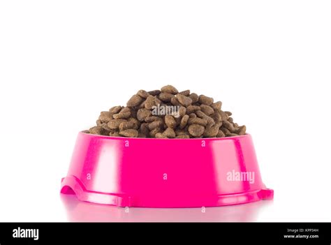 Dog food in pink bowl, white studio background Stock Photo - Alamy