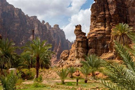 10 Interesting Facts About Wadi Al Disah Sometimes Interesting