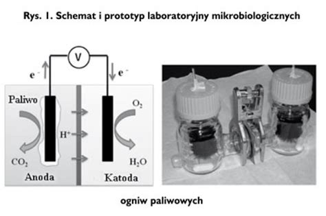 Zdj Cia Jeszcze Jedna Funkcja Mikrobiologicznych Ogniw Paliwowych W