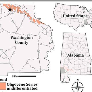 Map showing location of collection site near Millry, Washington County ...