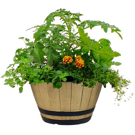 Fernlea Flowers 12 In Vegetable And Herb Barrel Planter 802993 Rona