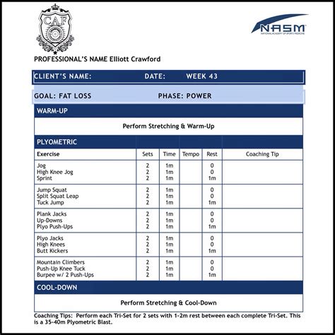 Nasm Workout Template