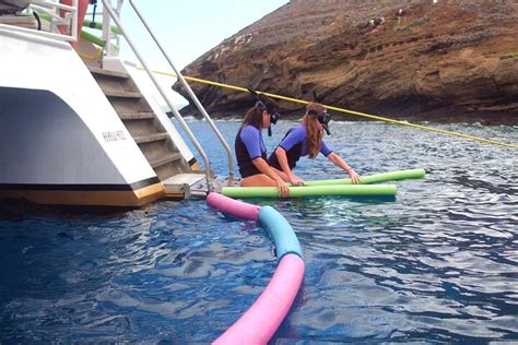 Tripadvisor Tour De Snorkel En Tortugas De Maui Desde El Puerto De Ma