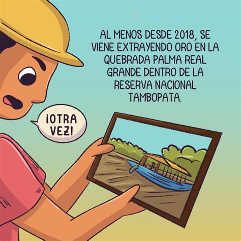 Historia Gráfica Minería Ilegal Acorrala A Territorios Indígenas En