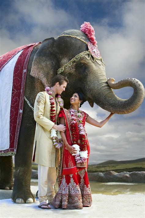 Traditional Indian Wedding Elephant