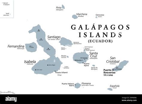 Galapagos Islands Gray Political Map Archipelago Part Of Ecuador