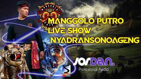 Live Jaranan Hari Ini Manggolo Putro Nyadran Sonoageng Feat Jordan