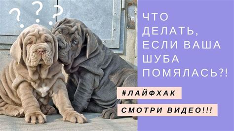 Лайфхак - как разгладить заломы, если помялась шуба из искусственного ...