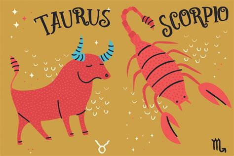 Are Taurus And Scorpio Compatible In A Relationship • Humanwindow