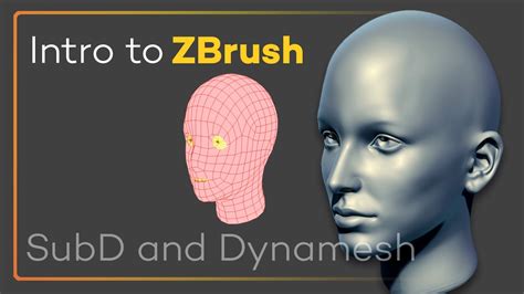 Intro To Zbrush Subdivisions And Dynamesh Get The Most Out Of