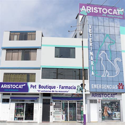 Contacto Aristocat