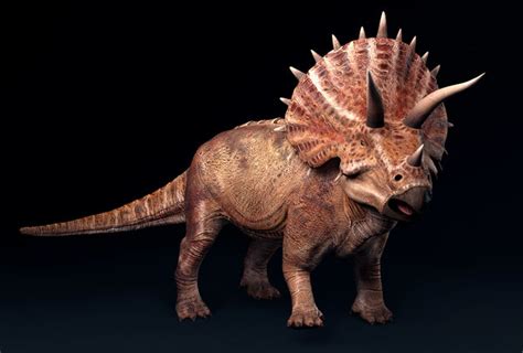 3D triceratops - TurboSquid 1539471