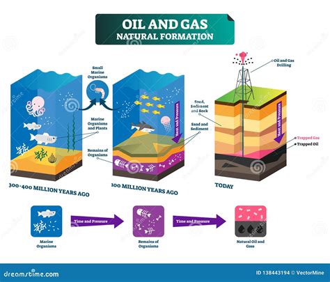 Petroleum Formation