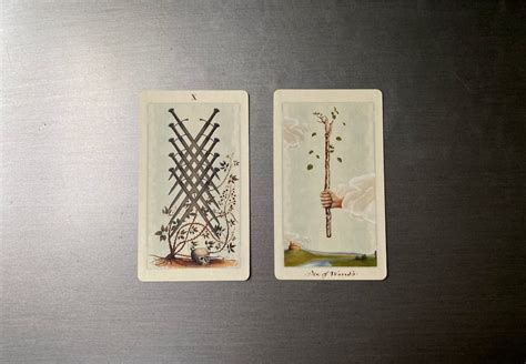 Nikkis Weekly Tarot Reading November Forever Conscious