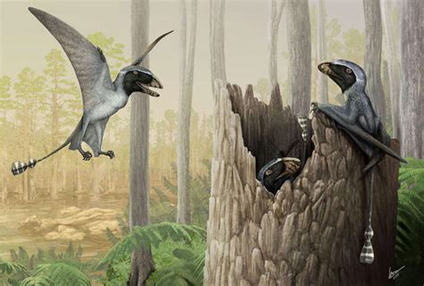 Pterosaurs A Celebration Of The Diversity Of Life