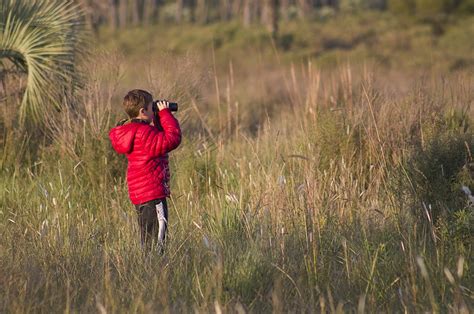 Observación De Aves En El Palmar En El “global Big Day” Era Verde