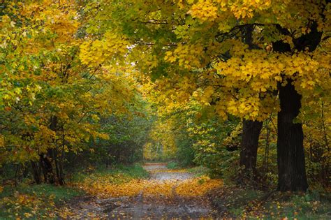 Powiatowy Konkurs Fotograficzny Rozstrzygni Ty Kto Wygra Poza Toru