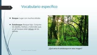 Los paisajes de España PPT