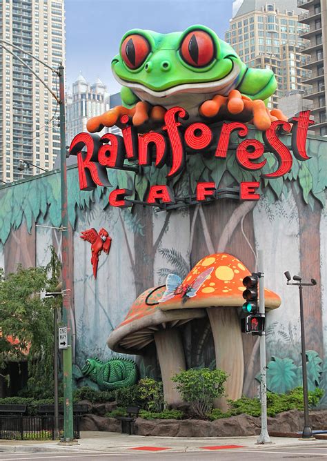 Rainforest Cafe Chicago Photograph by Dave Mills