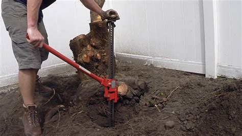 Stump Removal With Farm Jack Youtube