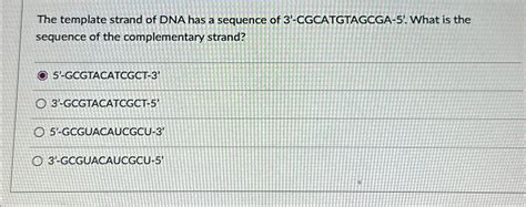 Solved The template strand of DNA has a sequence of | Chegg.com