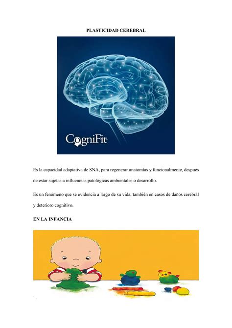 Plasticidad Cerebral Pdf