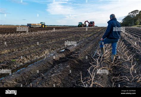 Geert Knottenbelt Fotos Und Bildmaterial In Hoher Aufl Sung Alamy