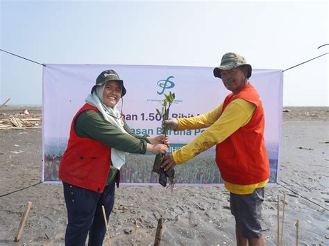 Hapus Jejak Emisi Karbon Di Bumi Mangrove Tag Lakukan Pendampingan