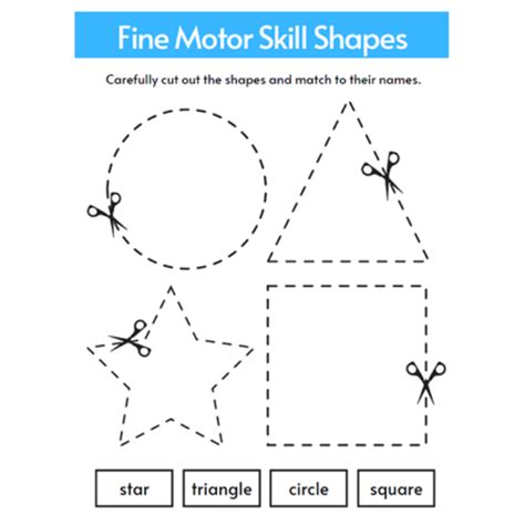 Practice Cutting And Tracing • Teacha