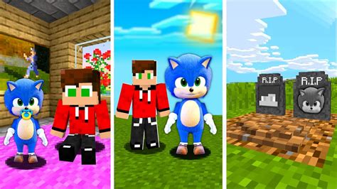 Od Narodzin Do Mierci Z Baby Sonic W Minecraft Youtube