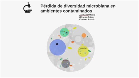 Diversidad Microbiana Y El Uso Del Microscopio Images