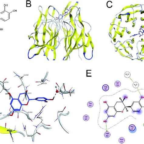 Results Of Molecular Docking Analysis A The Chemical Structure Of