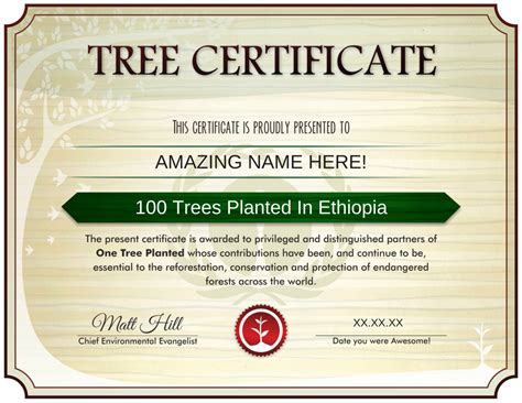 Plant Trees in Ethiopia | Reforestation Projects | One Tree Planted