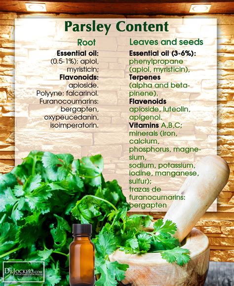 Amazing Health Benefits Of Parsley Parsley Benefits Garlic