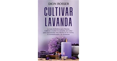 Cultivar Lavanda La Gu A Definitiva Para Plantar Cultivar Y Cuidar La