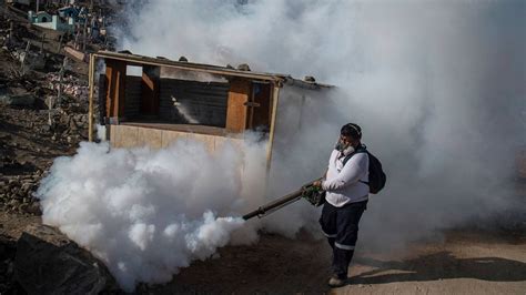 Perú Extiende Estado De Emergencia A 20 Regiones Por Brote De Dengue