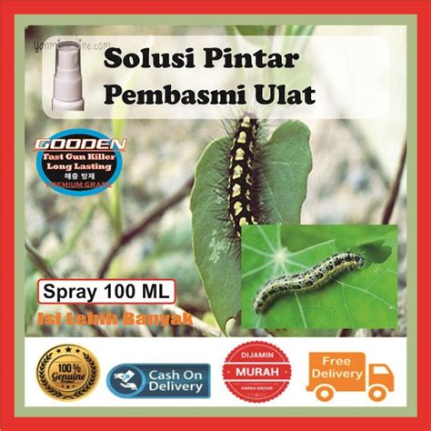 Jual Cairan Racun Semprot Pembunuh Pengusir Pembasmi Ulat Bulu Larva