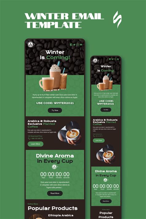 Best 13 Winter Email Design | Email Newsletter Design – Artofit