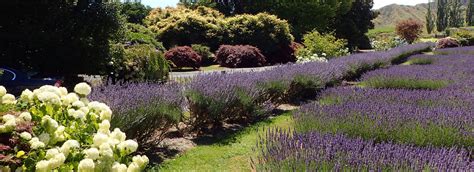 Taumarunui And Owhango Travel Guide Activities What To Do Nz Jane