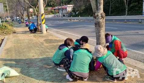 향촌동 주민자치위 Bravo 향촌 만들기 국도변 꽃길 조성