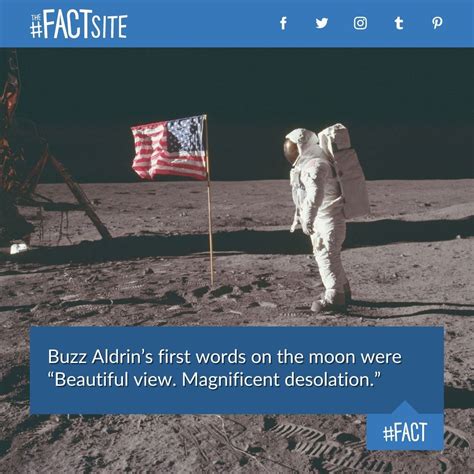 The Fact Site On Twitter Buzz Aldrins First Words On The Moon Were