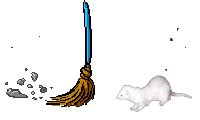 Ferrets animated GIFs