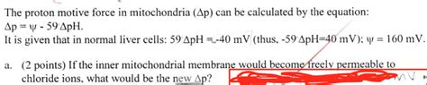 Solved The proton motive force in mitochondria (Ap) can be | Chegg.com