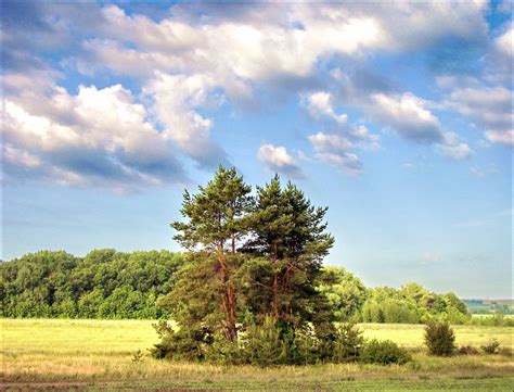 Lipetsk oblast, Russia guide