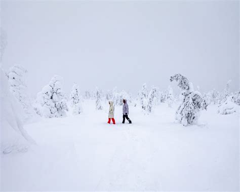 10 Most Popular Activities in Rovaniemi in the Winter