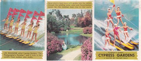 The beautiful Cypress Gardens | Cypress gardens, Boat trips, Boat tours