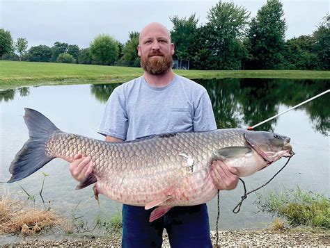 Linn Man Captures Likely State Record Grass Carp With A Bow Gasconade County Republican