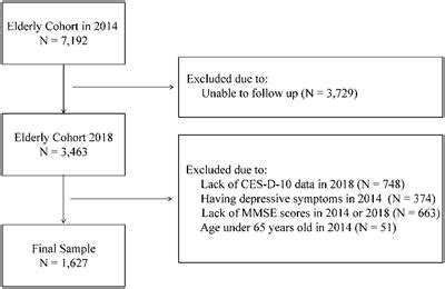 Frontiers The Associations Between Cognitive Function And Depressive