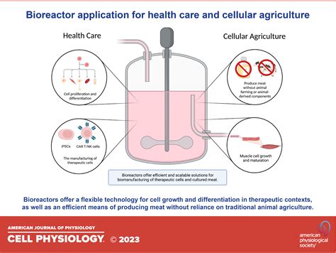 Advancing Our Understanding Of Bioreactors For Industrial Sized Cell