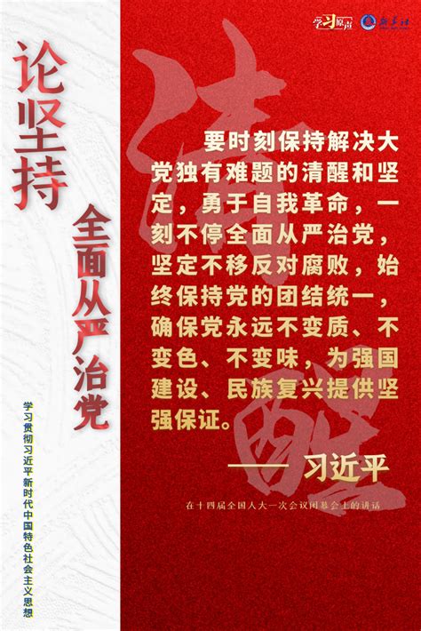 学习原声·聆听金句｜论坚持全面从严治党 新华网